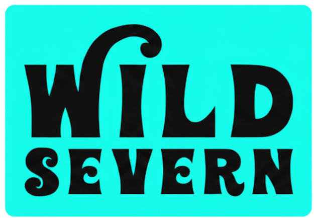 Wild Severn